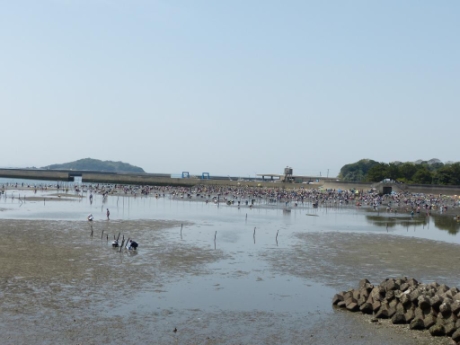 画像12